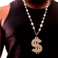 Silver $ Sign Bling Necklace